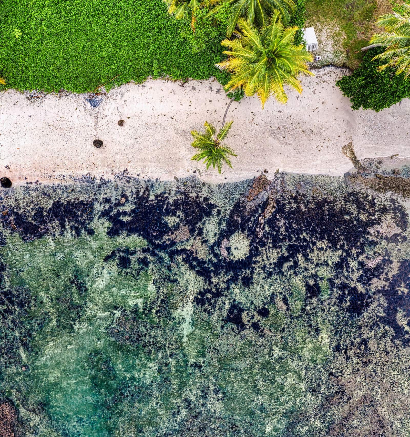 Aerial view of the Far North Queensland coastline