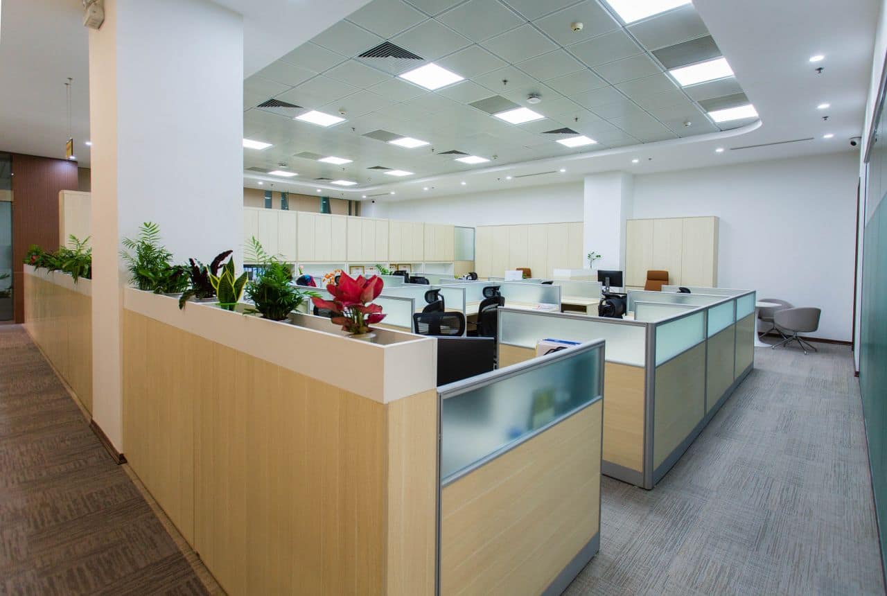Modern commercial interior fit-out with polished concrete floors