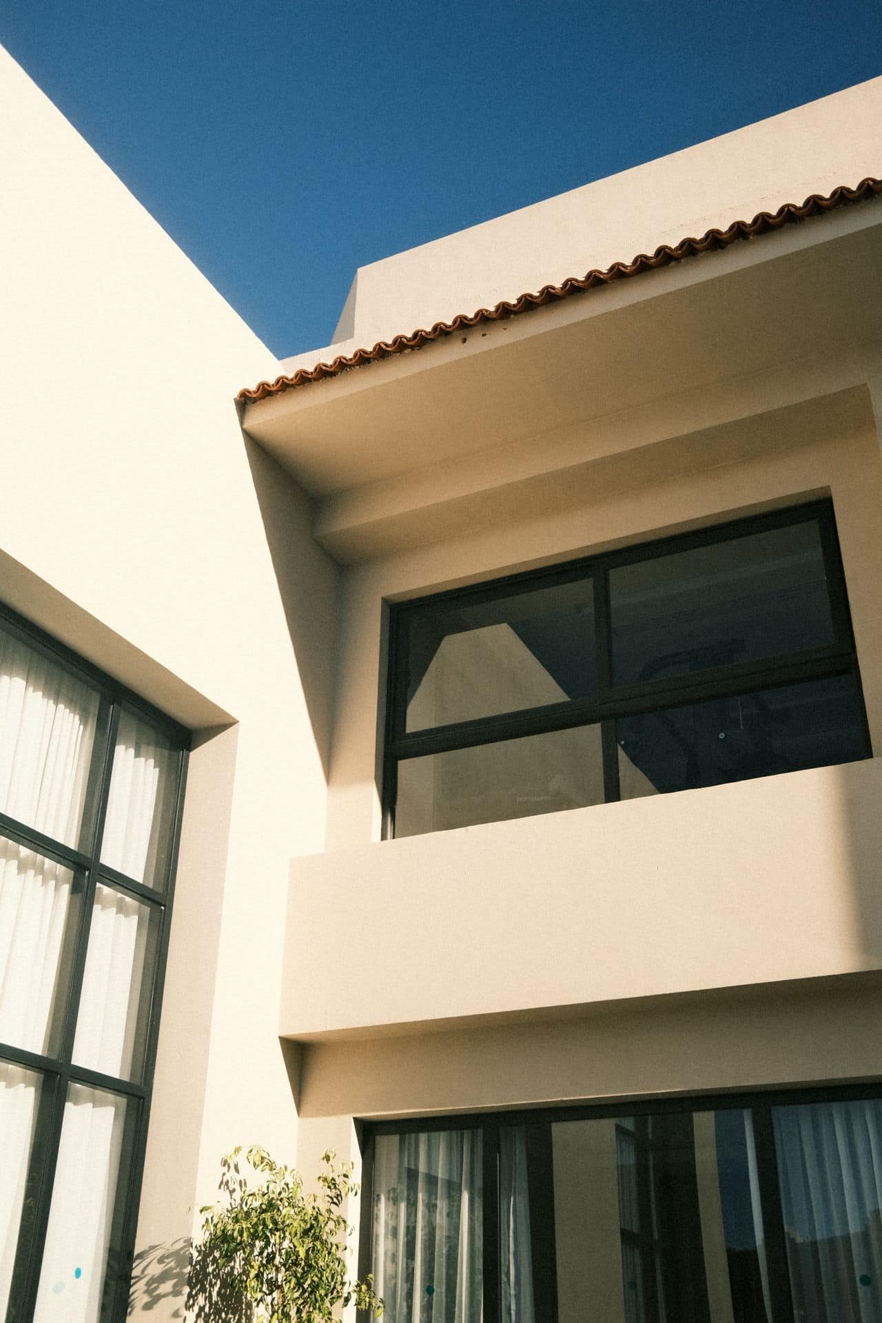 Newly built modern home on an established suburban block